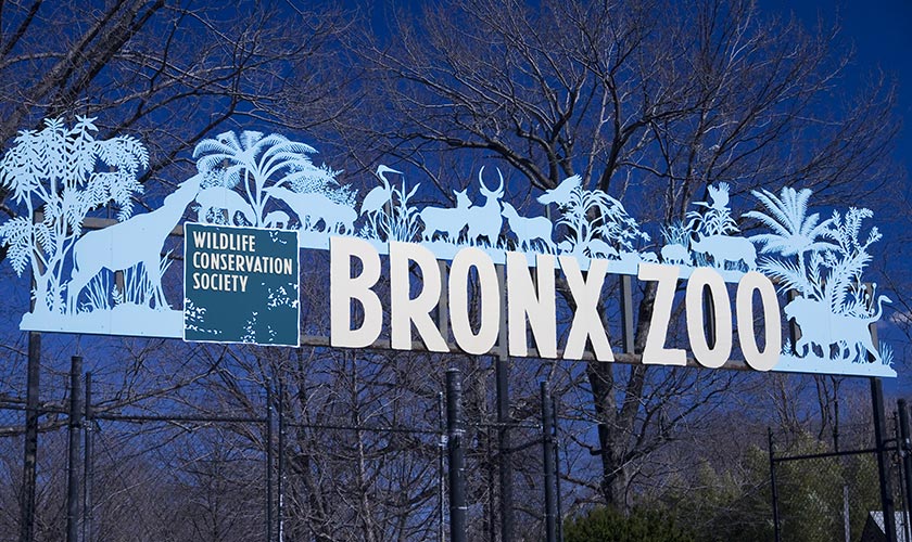 Explore the Bronx - NYC Travel Package - Venture Travel Package